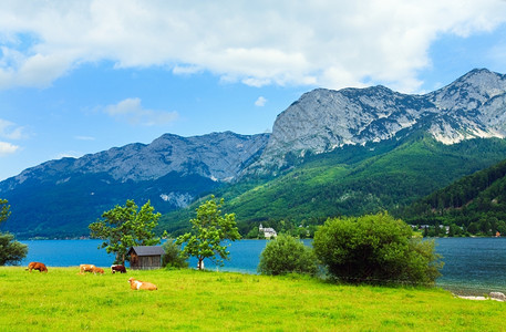 美丽的夏天阿尔卑斯湖格伦德西风景奥地利图片