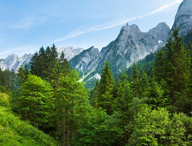 阿尔卑斯山平静的夏季风景奥地利戈绍村郊区图片