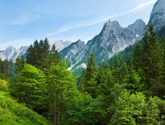 阿尔卑斯山平静的夏季风景奥地利戈绍村郊区图片