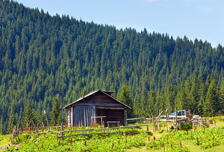 山顶有农棚的夏季山高地景观图片