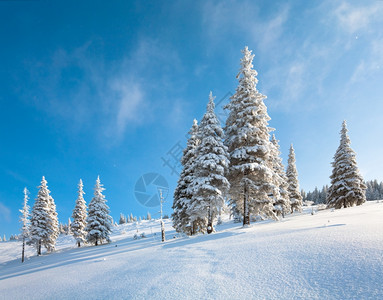 山上边蓝天空背景的风雪覆盖了山边的林图片