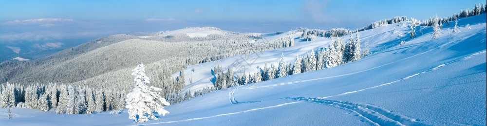 上午清晨冬季平静的山地景观坡上有森林喀尔巴阡山乌克兰图片
