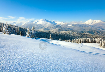 山边喀尔巴阡乌克兰边的林木被雪覆盖喀尔巴阡山图片