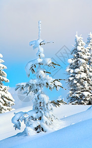 冬季雪覆盖了山边的卷毛树在天上覆盖的空背景图片