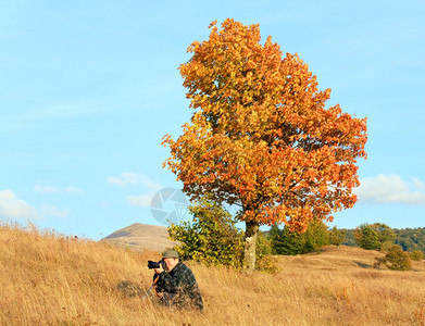 照片来自喀尔巴阡山边孤独的秋天树和夜空云图片
