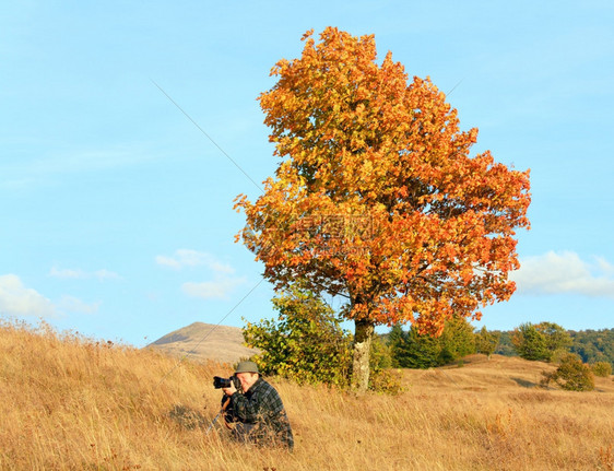 照片来自喀尔巴阡山边孤独的秋天树和夜空云图片