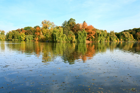 水池面秋季公园的树木丰富多彩图片
