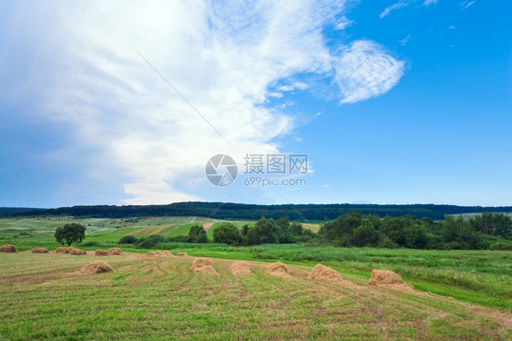 夏季绿色草原上的一堆堆干草图片