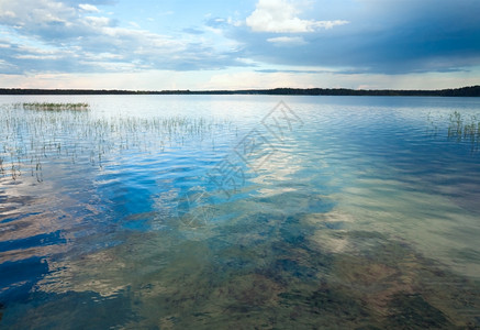 与水面上一些植物的夏季快速湖风景图片