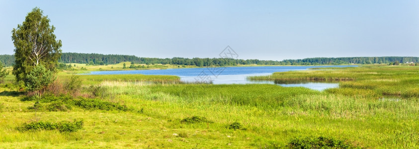 在对岸和小林子一起看夏日匆的湖景两针缝合图象图片