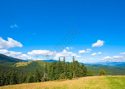 夏季山地角风景乌克兰喀尔巴阡山图片