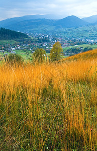 覆盖的秋山地貌和前面的高黄草TransCarpathian乌克兰图片