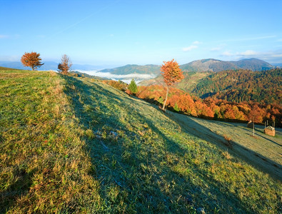 清晨秋色的山丘和干草堆Mighgirya村郊区喀尔巴阡山乌克兰图片