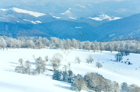 十月山尖森林边缘第一次冬天下雪去年秋在远山边背景图片