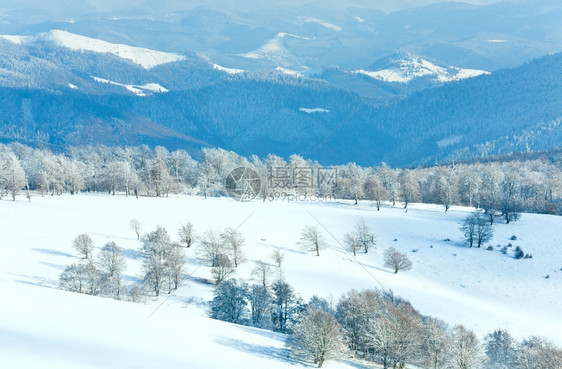 十月山尖森林边缘第一次冬天下雪去年秋在远山边图片