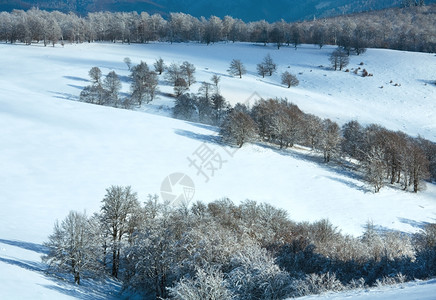 十月山脚尖林边丘第一个冬天下雪图片