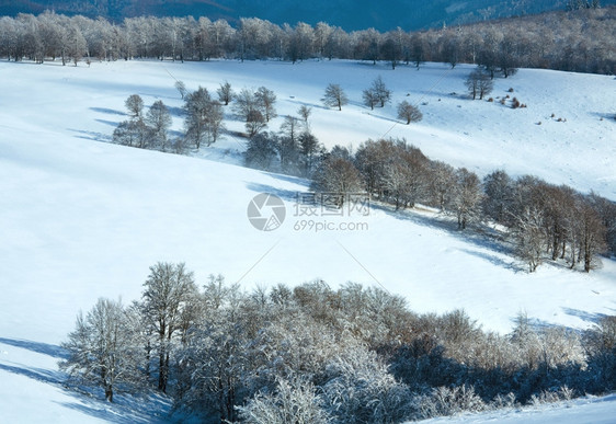 十月山脚尖林边丘第一个冬天下雪图片