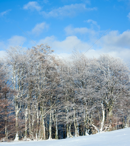十月山尖森林边缘和第一个冬季积雪两针缝合图象图片