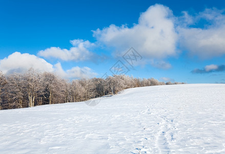 10月山尖森林边缘和第一个冬季积雪图片