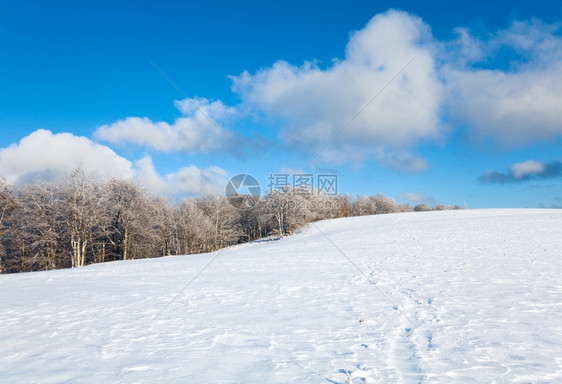 10月山尖森林边缘和第一个冬季积雪图片