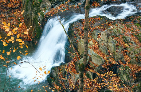 洛基流瀑布穿越秋山林图片