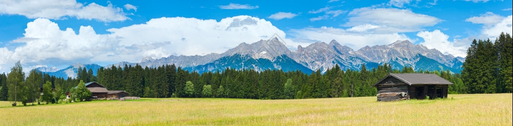 夏季宁静的阿尔卑斯山区草原全景图片