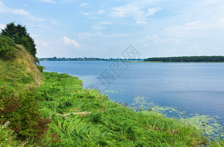 在对岸与小林的夏季匆湖风景高清图片