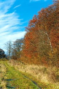 秋季乡村公路和阳光明媚的山林图片