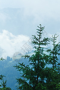 山顶多云的夏季风景前面有fir树图片