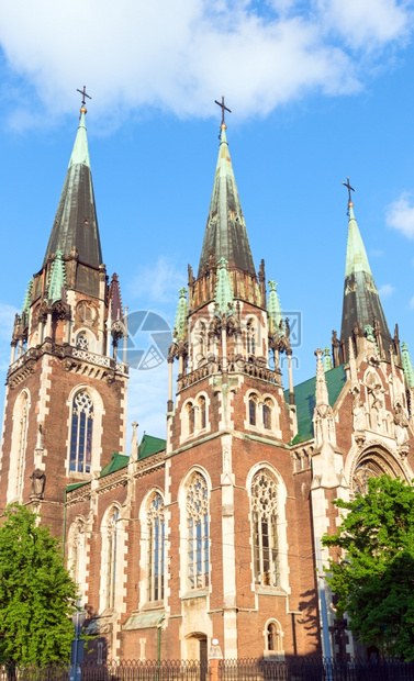 利沃夫市圣奥尔哈和伊丽莎白教堂乌克兰图片