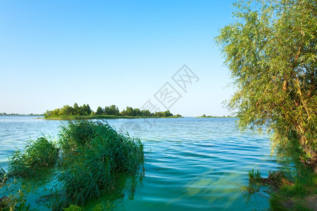 在对岸与小林的夏季匆湖风景图片