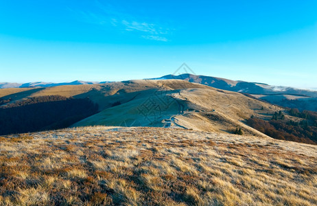 上午薄雾秋山地貌喀尔巴阡山乌克兰图片