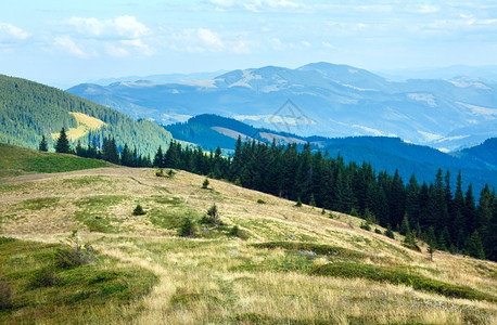 山坡上有森林的夏季薄雾山地景观喀尔巴阡山乌克兰图片