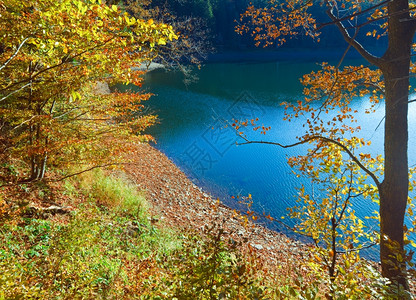 通过秋树枝观看山地同步湖景图片