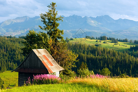 山村夏季夜郊区前面和后塔特拉山脉GliczarowGorny波兰有粉红色花和木棚GliczarowGorny图片