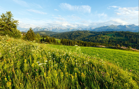 夏季傍晚山村郊区田开阔后面有塔特拉山脉波兰格利卡扎罗戈尔尼图片