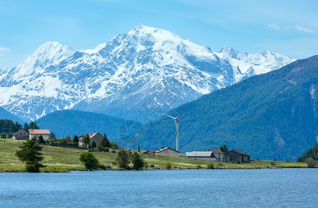 夏雷斯景山地草开花意大利图片