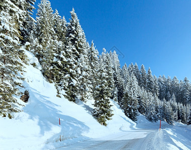 冬季山地景观清晨坡上有fir森林和乡村公路图片