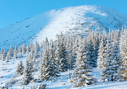 日出和冬季山地景观坡上有雪覆盖的树木图片