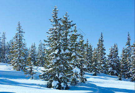 冬季山林风雪景观帕佩格诺巴恩山顶奥地利费尔兹穆斯图片