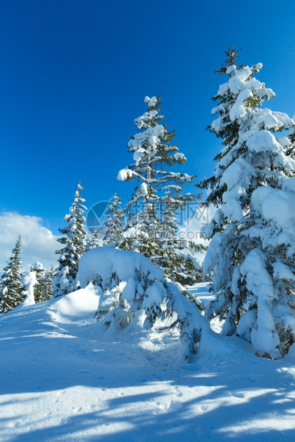 冬季山林风雪景观帕佩格诺巴恩山顶奥地利费尔兹穆斯图片