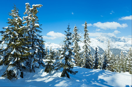 冬季奥地利风雪景观图片