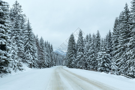边有森林的冬季乡村公路覆盖日图片
