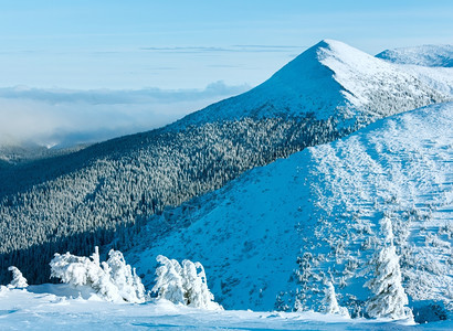 冬季山地景观坡上有雪树图片