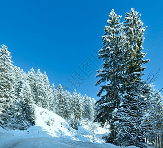 冬季山地风景与森林和高山公路图片