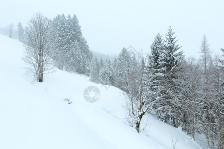 冬雾寒的山枯燥白日雪地图片