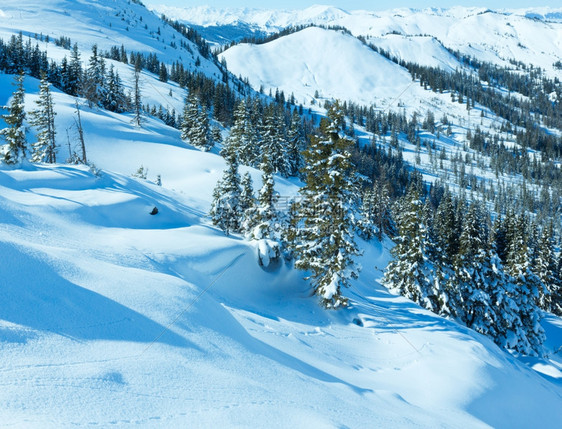 冬季山地景观斜坡上有雪树奥地利霍奇科尼希区图片