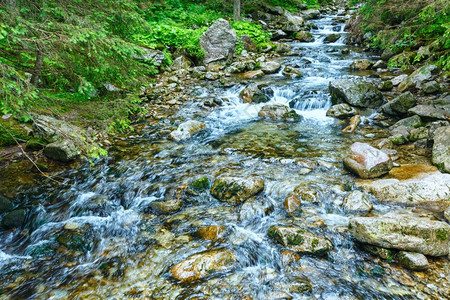 带清洁水的美丽山河夏季风景波兰图片