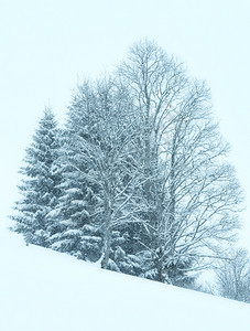 寒冬的山雾枯燥白日雪瀑布图片