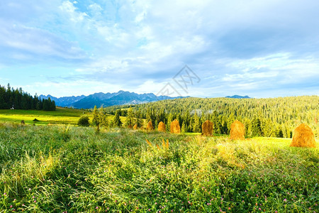 夏季山村郊区后面有干草堆和塔特拉山脉波兰图片
